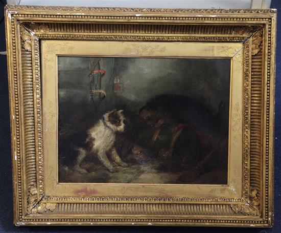 George Armfield (1808-1893) Terriers ratting in a stable 12 x 16in.